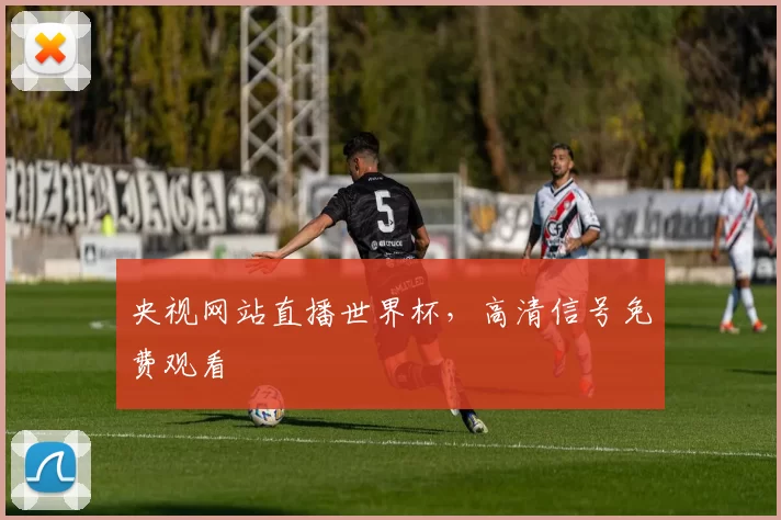 央视网站直播世界杯,高清信号免费观看