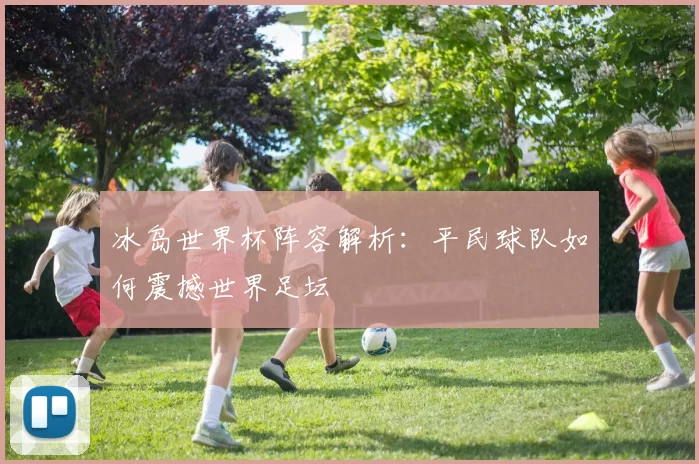 冰岛世界杯阵容解析:平民球队如何震撼世界足坛