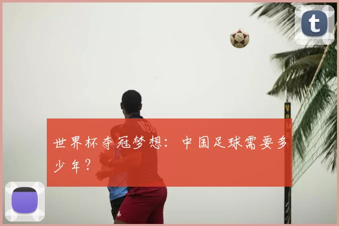 世界杯夺冠梦想:中国足球需要多少年?