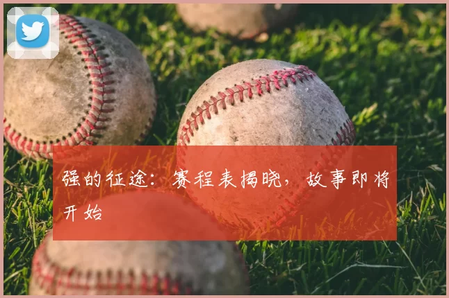 强的征途：赛程表揭晓，故事即将开始