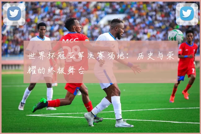 世界杯冠亚军决赛场地:历史与荣耀的终极舞台
