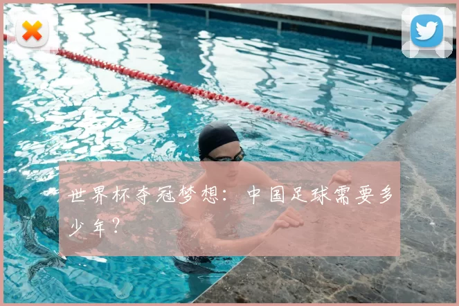世界杯夺冠梦想:中国足球需要多少年?