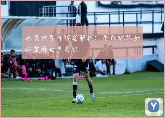 冰岛世界杯阵容解析:平民球队如何震撼世界足坛