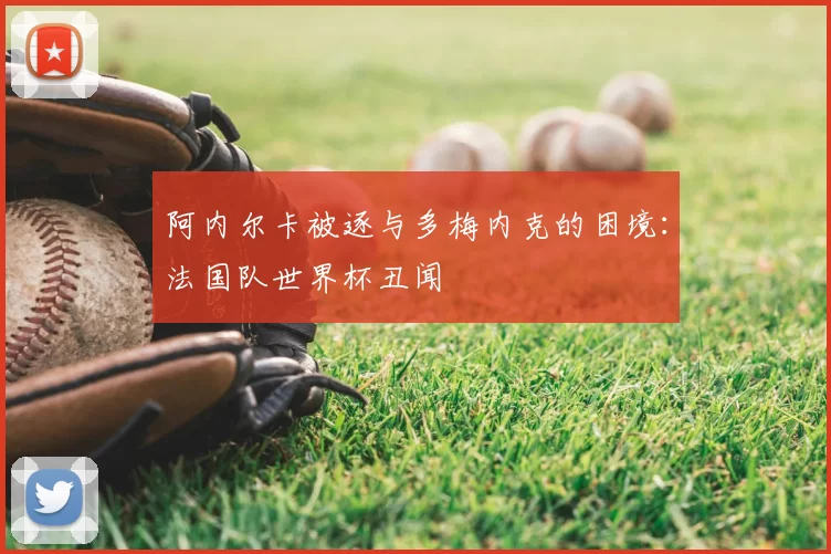 阿内尔卡被逐与多梅内克的困境：法国队世界杯丑闻