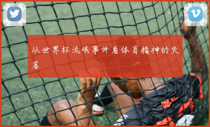 从世界杯流氓事件看体育精神的失落
