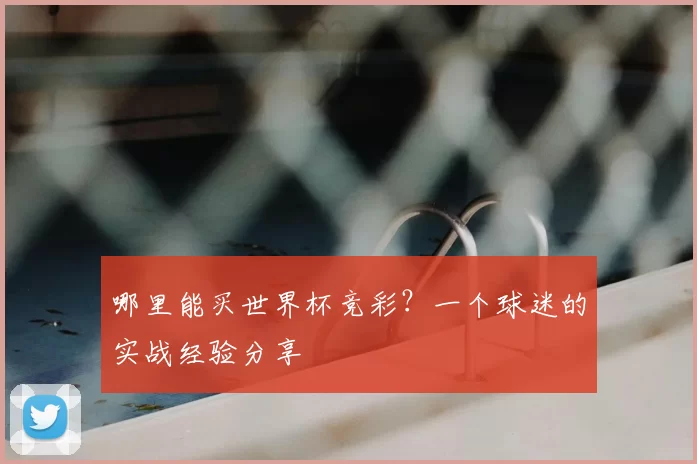 哪里能买世界杯竞彩?一个球迷的实战经验分享