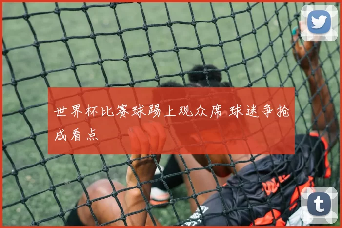 世界杯比赛球踢上观众席 球迷争抢成看点