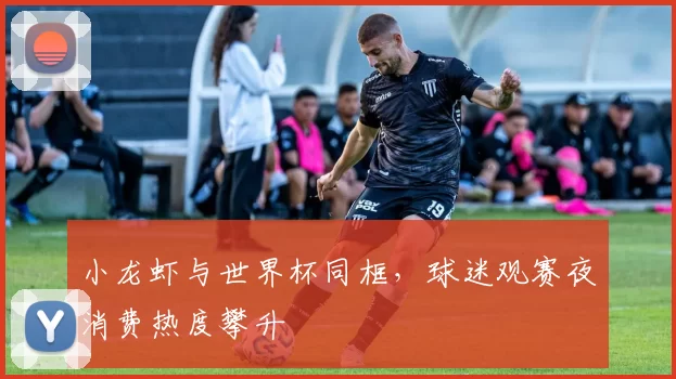 小龙虾与世界杯同框,球迷观赛夜消费热度攀升