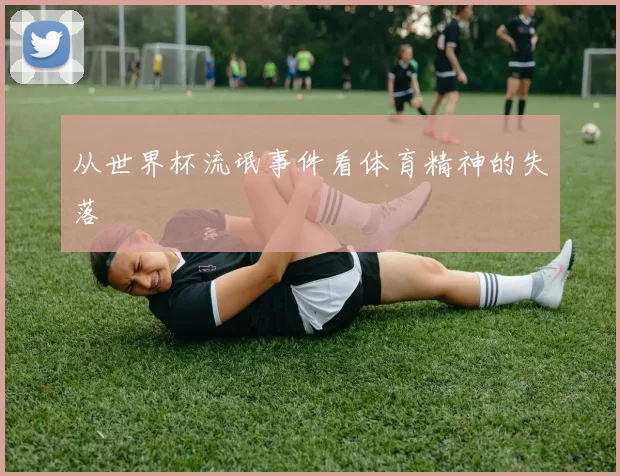 从世界杯流氓事件看体育精神的失落