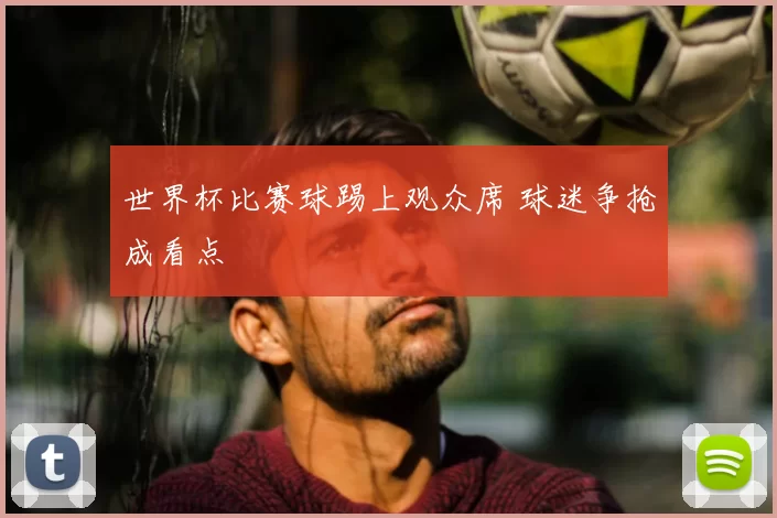 世界杯比赛球踢上观众席 球迷争抢成看点