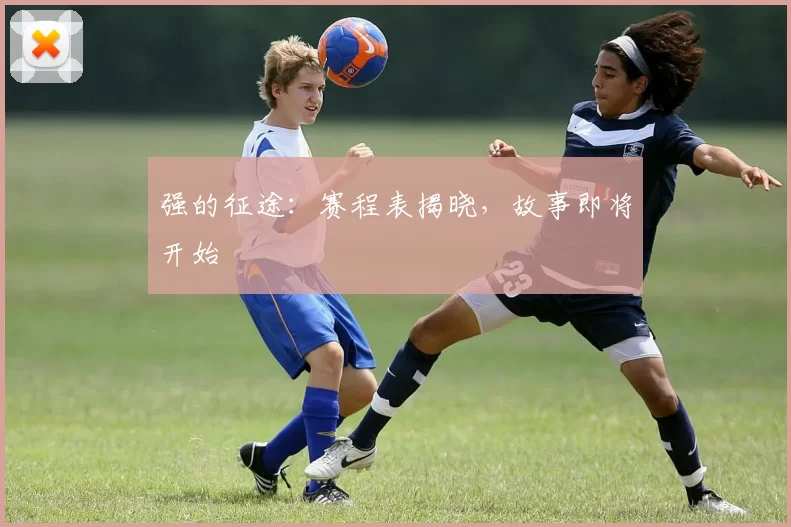 强的征途:赛程表揭晓,故事即将开始