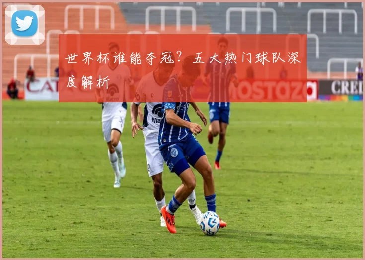 世界杯谁能夺冠？五大热门球队深度解析