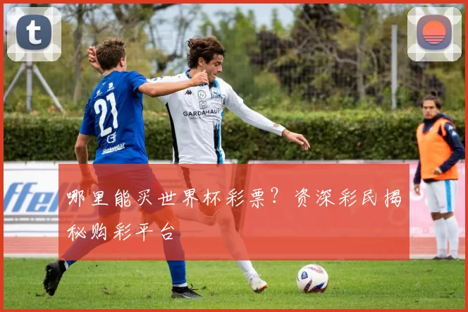 哪里能买世界杯彩票?资深彩民揭秘购彩平台