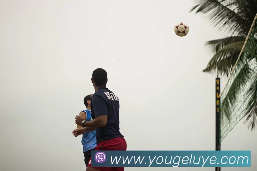 球盟会发展历程